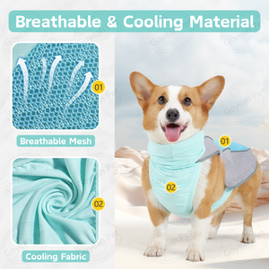 Verano transpirable <span class=keywords><strong>perro</strong></span> Cooler Jacket reflectante al aire libre <span class=keywords><strong>perro</strong></span> <span class=keywords><strong>chaleco</strong></span> de refrigeración - Product Image 2