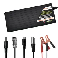 स्वचालित फास्ट ली आयन लाइपो बैटरी चार्जर वैक्यूम क्लीनर ebike इलेक्ट्रिक स्कूटर बैटरी चार्जर 42V