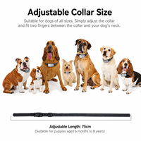 Collier de dressage pour chien rechargeable, double détection, faible risque d'erreur, utilisation facile, certifié FCC et RoHS, dispositif anti-aboiement