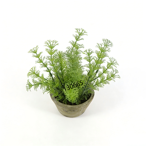 <span class=keywords><strong>Plante</strong></span> artificielle moderne <span class=keywords><strong>en</strong></span> <span class=keywords><strong>pot</strong></span> de ciment, herbe de <span class=keywords><strong>vanille</strong></span> vert clair de haute qualité, facile à utiliser pour la décoration de la maison et du bureau - Product Image 2