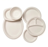 100% Vaisselle jetable en bagasse biodégradable Assiettes à dîner compostables de 6 à 10 pouces pour la nourriture de camping