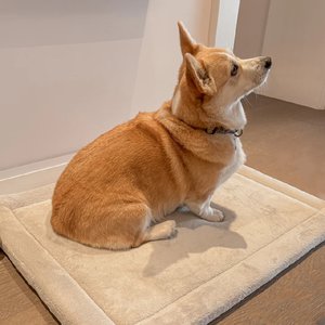 Großhandel Pflegeleichte Hunde- und Katzen-Tatami-Matte Wasserdichte Haustierfreundliche Bodenmatte Bett Weich Nicht Pillend 60*80cm Atmungsaktiver Haustierbereich-Teppich - Product Image 5