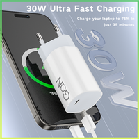 Adaptateur mural de charge rapide GaN III en gros, chargeurs de téléphone portable Type C 30W, bloc de chargeur USB-C pour la maison et les voyages, usine OEM
