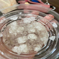 Poudre de CMC de haute pureté, poudre industrielle pour la construction, carboxyméthylcellulose pour additif de détergent