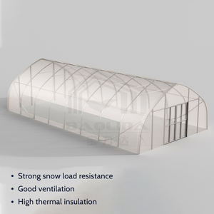 大型温室 6x12m ゴシック型 プラスチックフィルムトンネル シングルスパン 農業用PE素材製 セル・アグリコル - Product Image 2