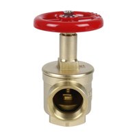 Robinet de tuyau d'hydrant d'incendie à angle droit en laiton avec adaptateur de tuyau d'hydrant