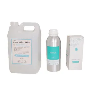 Venta al por mayor de lujo de larga duración 1L/5L Capacidad Hotel Colección Aromaterapia Aceite esencial Difusor Aceite de fragancia