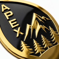 Autocollant d'emblème en métal 3D personnalisé APEX, autocollant de badge de voiture or et argent, logo vertical personnalisé pour hayon de camion et SUV OEM
