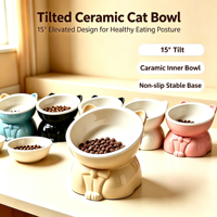Bol en céramique incliné pour chat, 15 degrés, surélevé, protection du cou, base antidérapante, cadeau de Noël pour l'alimentation des animaux de compagnie