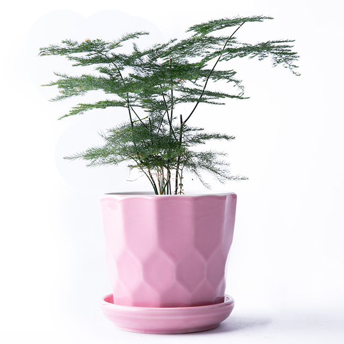 Best Seller Ceramic Flower Pot Decorative Flower Pot for Indoor