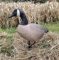 Meilleure vente Durabilité robuste Fins de chasse Corps de mangeoire réalistes Posture personnalisable Leurres de chasse à l'oie flottante