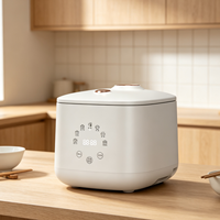 Autocuiseur Électrique Tactile Multifonctionnel avec Cuve Antiadhésive pour Cuisson à Faible Teneur en Sucre – Vente en Gros