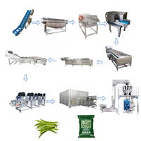 Industriële automatische roestvrijstalen 304 turnkey complete machines voor het vriesvoorraad van groenten en fruit, zoals broccoli, sperziebonen en aardbeien