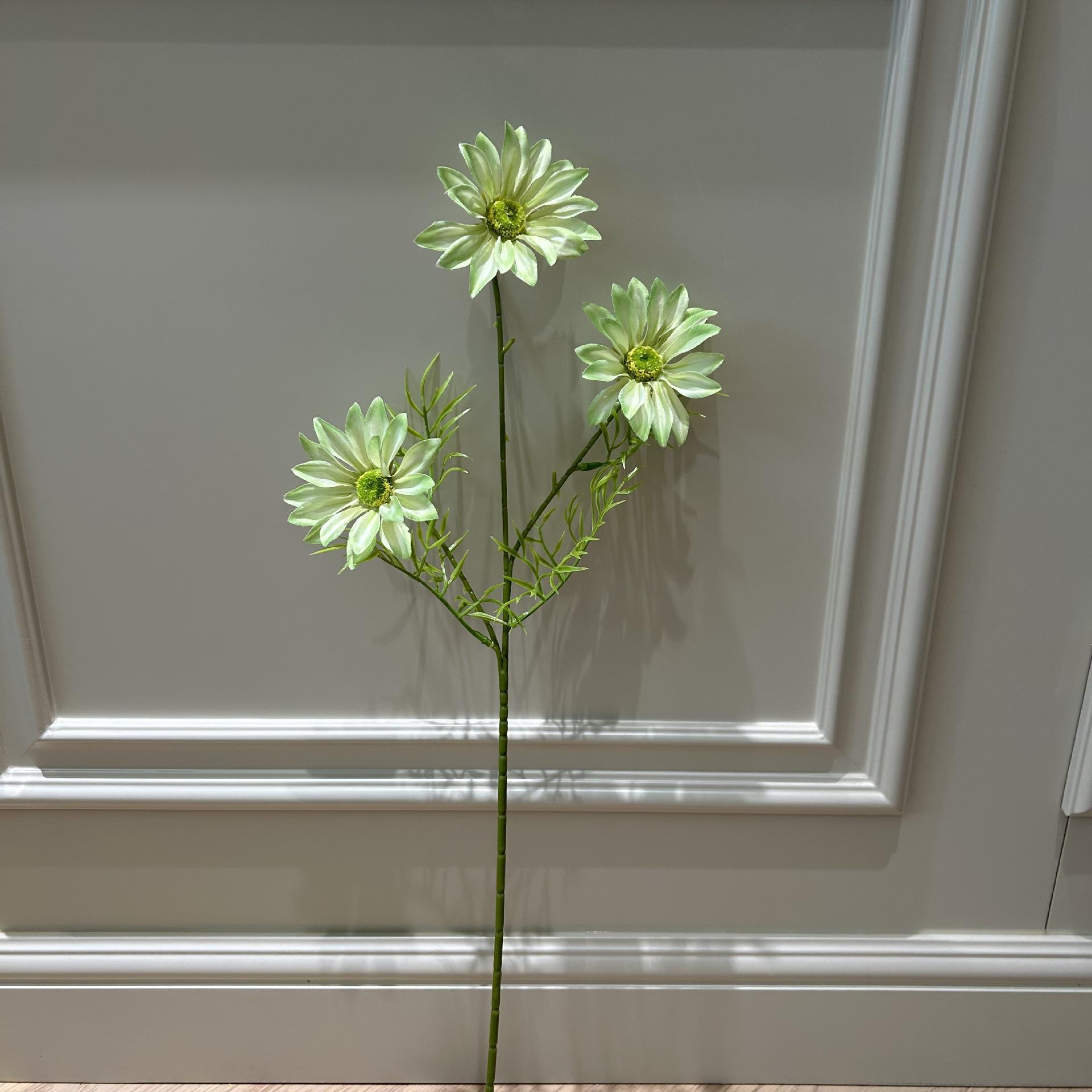 Hshs xia ju turns green