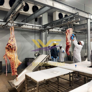 Équipement d'abattoir de taureaux halal pour la transformation de la viande de vache coupe abattage boucher ligne d'abattoir - Product Image 1