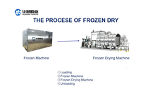 Machine de déshydratation alimentaire HRTY pour bonbons au lait, produits laitiers et légumes, sécheur par congélation à air froid, machine à lyophiliser les fruits