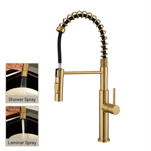 Pull Out Spring 2 Function Spray <strong>Head</strong> Faucet 2 Way Kitchen Sink Mixer Faucets Gold Stainless Steel <strong>Taps</strong> 1 Handle Single Hole <strong>Tap</strong> - Product Image 2