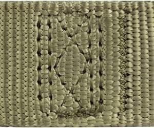 Collar antirrobo de nailon para mascotas, collarín de alta resistencia mejorado para perros, entrenamiento y caminar - Product Image 5