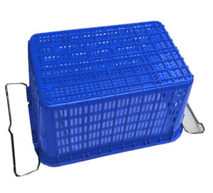 Hậu cần thu hoạch Stackable <span class=keywords><strong>PE</strong></span> lưu trữ giỏ với sắt xử lý đục lỗ lưới nhựa rau Crate và doanh thu giỏ - Product Image 4