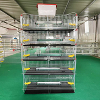 Cage à caille à approvisionnement direct du fabricant Cage d'élevage verticale multicouche en métal à alimentation automatique pour caille