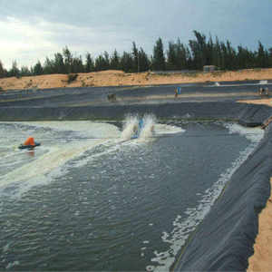 แผ่นใยสังเคราะห์ HDPE หนา 2.00 มม. มาตรฐาน ASTM GRI GM13 สำหรับบ่อเก็บน้ำ ระบบชลประทาน และการเพาะเลี้ยงสัตว์น้ำ - Product Image 6