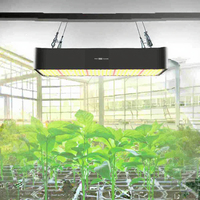 Lampu Tanaman LED Spektrum Penuh 2000W Efisiensi Tinggi PPFD untuk Pertumbuhan Tanaman, Bunga, Sayuran, Bibit, Lampu Pencahayaan CRI 90