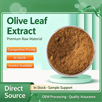 Extrait de feuille d'olivier 20% Oleuropéine en poudre, qualité alimentaire, extrait végétal, complément alimentaire en flacon