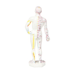 Zhongyan Taihe Acupunctuurtherapie Van Het Traditionele Chinese Geneeskunde Menselijk Puntmodel - Product Image 5