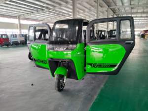 Vélos de tricycle électriques à trois roues EEC COC L2e nouvelle licence de passager d'énergie <span class=keywords><strong>scooter</strong></span> de mobilité fermé gratuit prix bas pour des adultes - Product Image 6