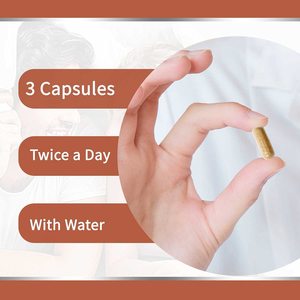 Ganoherb OEM Trung Quốc thảo dược bổ sung viên nang với Maca Tongkat Ali và <span class=keywords><strong>longjack</strong></span> chiết xuất từ rễ cho nhãn hiệu riêng cung cấp số lượng lớn - Product Image 5
