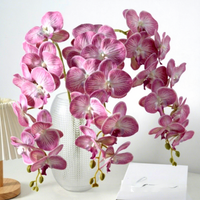 Orchidée Phalaenopsis à 9 têtes, pétales en plastique effet film, texture 3D, élégante, pour mariages, décoration haut de gamme, fleurs artificielles