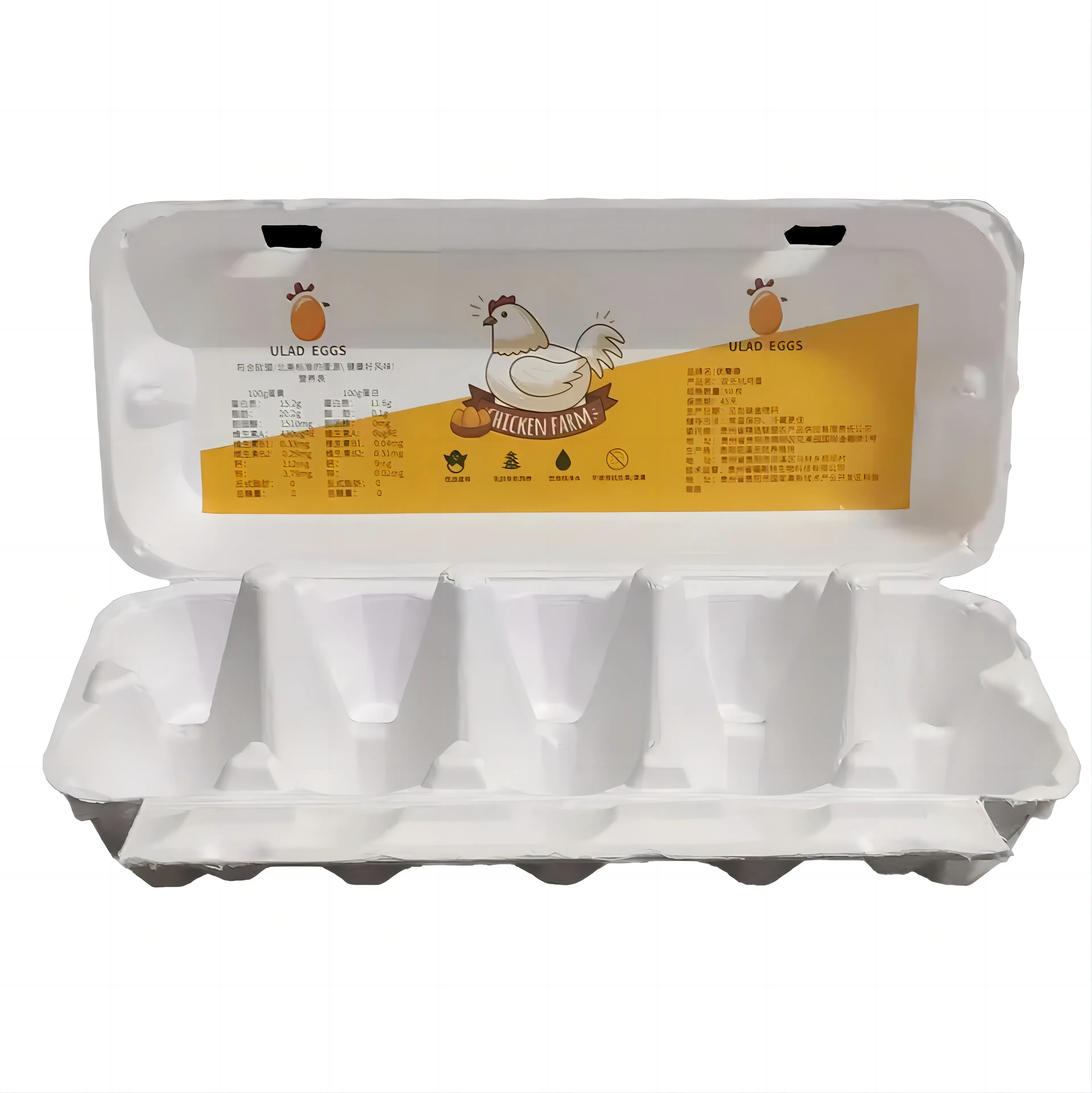 Özelleştirilebilir tek kullanımlık biyobozunur şeker kamışı küspe hamuru kağıt 10 delik yumurta tutucu kartonları kapaklı kutu tepsisi