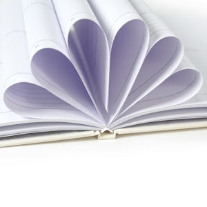 Journal de bébé personnalisable <span class=keywords><strong>tissu</strong></span> de lin quotidien mensuel souvenir livre de mémoire la première année bébé croissance livre jalon cahier - Product Image 4