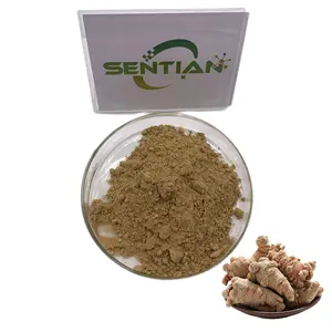 Panax Notoginseng Extract Powder Big Discount Panax Notoginseng Extract