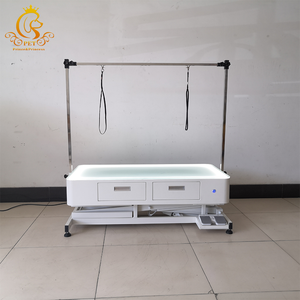 Mesa <span class=keywords><strong>DE</strong></span> ASEO veterinaria eléctrica EUR PET para mascotas, mesa <span class=keywords><strong>de</strong></span> peluquería para perros, características <span class=keywords><strong>de</strong></span> limpieza para herramientas <span class=keywords><strong>de</strong></span> aseo para mascotas - Product Image 2