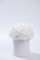 HFlora Factory fournit directement des roses éternelles décoratives pour la Saint-Valentin et la fête des mères, en boîte cadeau, immortelles, longue durée, 3-5 ans.