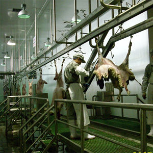 Machine à dépecer les peaux de chèvre et de mouton en acier inoxydable de haute qualité pour abattoir et <span class=keywords><strong>boucherie</strong></span>, équipement de ligne d'abattage - Product Image 2