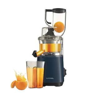 중국 공급자 직업적인 큰 입 큰 구경 상업적인 느린 masticating juicer 기계