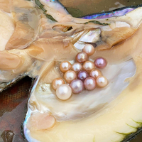 Huîtres en conserve chinoises scellées de type Little Monster avec perles d'eau douce naturelles Edison en vrac pour jeu de boîte mystère pour la famille