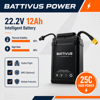 Аккумулятор Battivus 48В 400Втч, полутвердотельный, 3000 циклов, высокая энергетическая плотность, LiPo, -50°C - 60°C, длительное время работы, для БПЛА VTOL