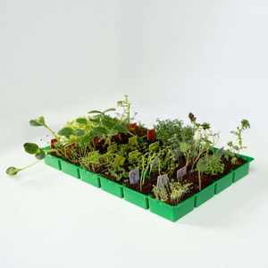 Calendrier de l'<span class=keywords><strong>Avent</strong></span> du Père Noël Pots de fleurs et jardinières pour une saison de jardin festive - Product Image 4