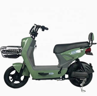 Vélo électrique universel 48V/60V 800W avec écran LCD, alarme antivol, vitesses, mise à niveau optionnelle du frein à disque arrière