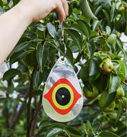 Dispositif de contrôle dissuasif pour oiseaux en plastique Répulsif pour oiseaux Disques d'effarouchement pour pics Pics Oiseaux Répulsif pour usage agricole