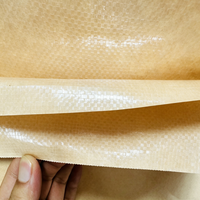 Sac tissé en papier kraft écologique composite BOPP pour l'emballage des aliments