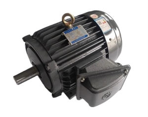 Motor especial para torre de enfriamiento Liangji AEVF-NV1.1KW-6. - Product Image 2
