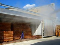 Four de traitement du bois à haute température, sécheur thermo-lignique, système de séchage et de déshumidification du bois