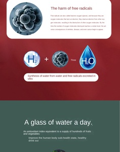 Nueva Botella de Agua Portátil Recargable por USB con Hidrógeno H2, Botella de Agua con Hidrógeno Evolv H2go para Mascotas con Dispensador - Product Image 6