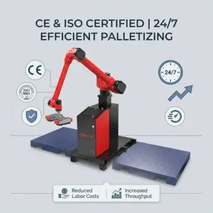 Estación de Trabajo Robótica de Paletización Automática BORUNTE BRTMD195001A de 50 kg con Eje de Elevación de 0-500 mm - Product Image 4