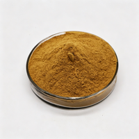 Poudre de champignon Chaga, extrait végétal, 50% de polysaccharides, extraction liquide-solide, qualité alimentaire, avec acide ursolique