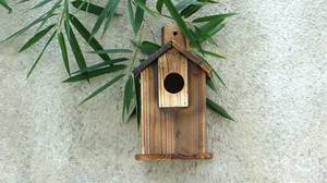 Junji Beste Houten Vogelhuisje Nieuwe Ceder Houten Decoratief Hangend Nest Luxe Moderne Nieuwigheid Gedrukt Patroon Rustiek Houten Vogelhuisje - Product Image 2